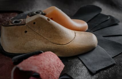 Anatomy of a Shoe