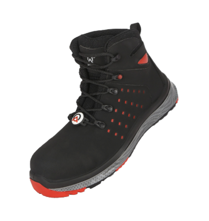 TERNATO Shoe
